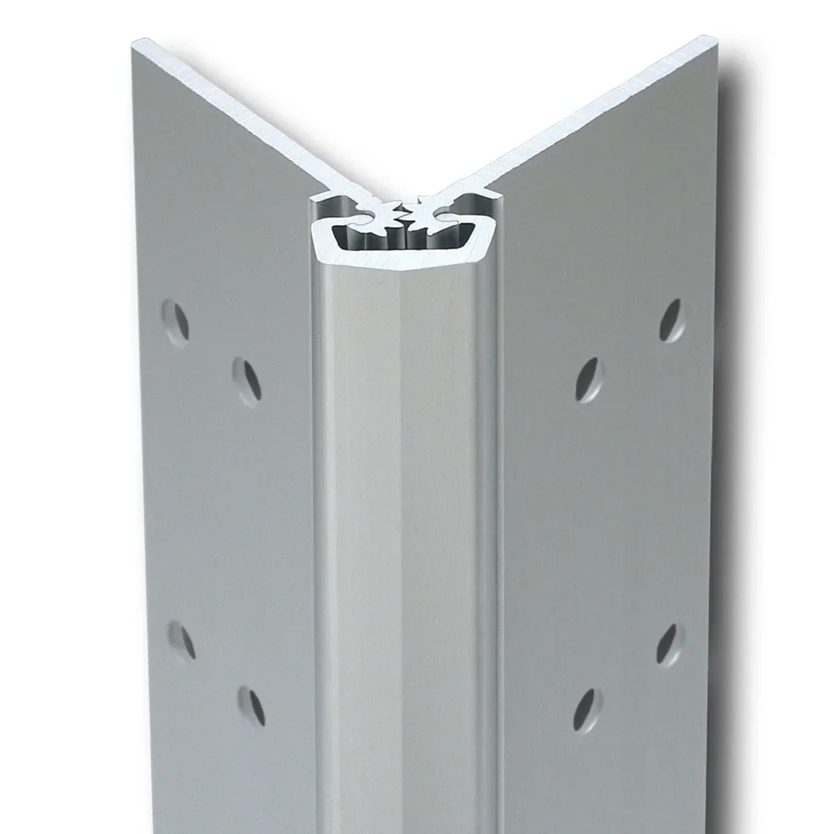 Acier inoxydable robuste avec  - Piano Hinge Continuous avis et prix