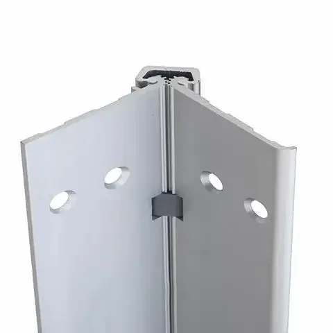 Acier inoxydable robuste avec  - Piano Hinge Continuous avis et prix
