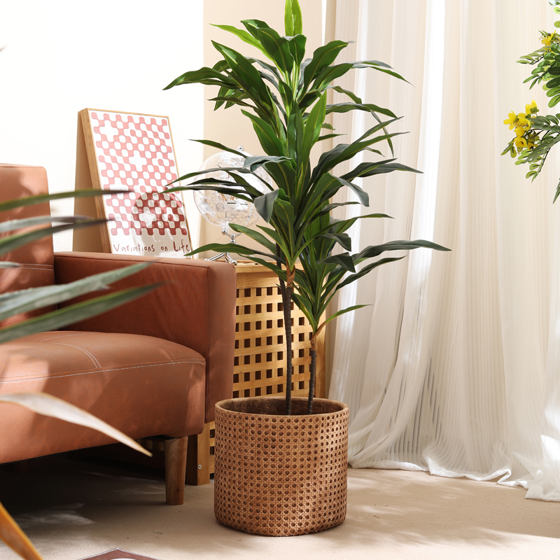 Meubles pour appartements de p - Furniture Paradise & Hardware Ghaziabad avis et prix